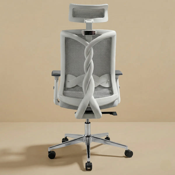spinal ergo