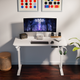 Ergo Throne V One - Electric Standing Desk (White), 5-Year Warranty (100–140 cm)