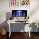 Ergo Throne V One - Electric Standing Desk (White Oak), 5-Yr Warranty (100–140 cm)
