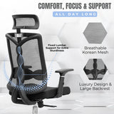 spinal ergo