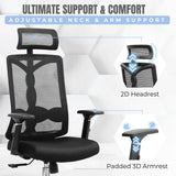 spinal ergo