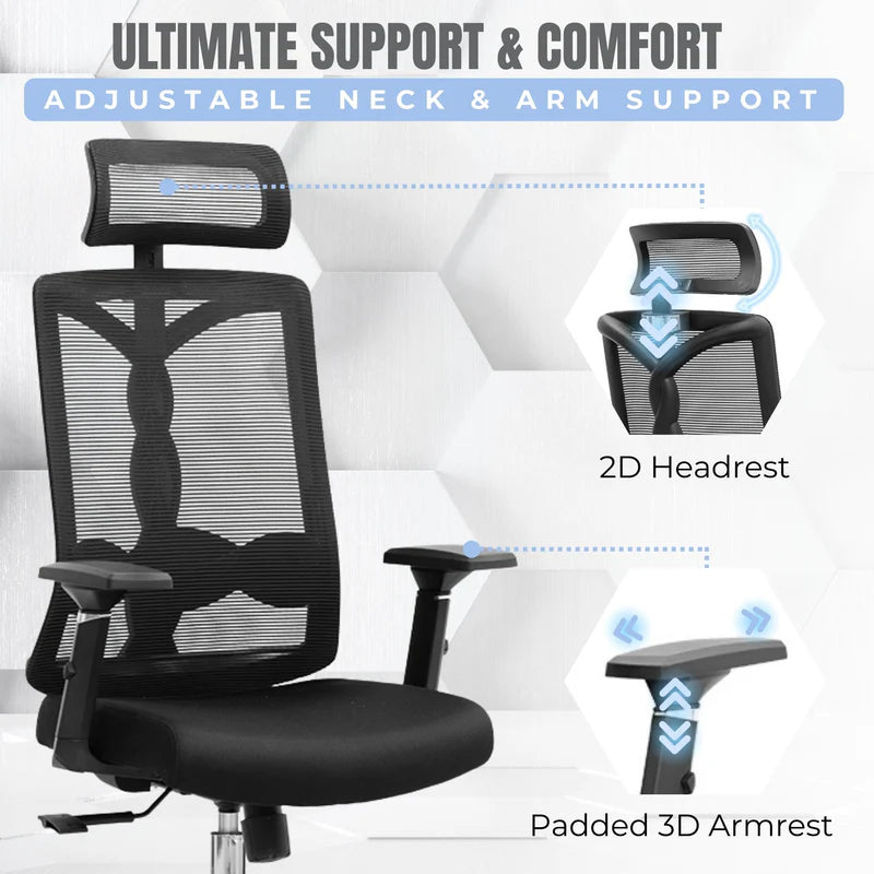 spinal ergo