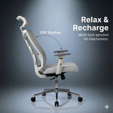 spinal ergo