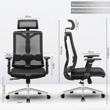 spinal ergo