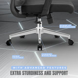 spinal ergo