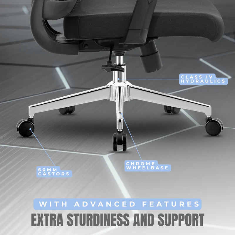 spinal ergo