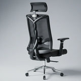 spinal ergo