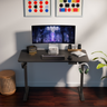Ergo Throne V One - Electric Standing Desk (Matt Black), 5-Year Warranty (100–140 cm)